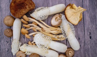 人工牛舌菌种植方法 人工牛舌菌怎么种植