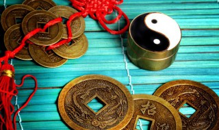 猪本命穿什么颜色衣服旺财 属猪本命穿什么颜色衣服好