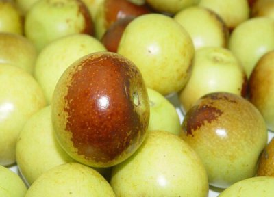 冬枣能放冰箱吗 冬枣可以放冰箱冷冻保存吗