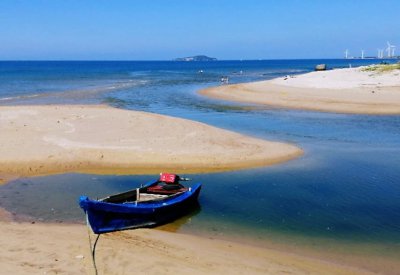 海星是不是食肉动物 你知道海盘车是如何取食吃东西的吗