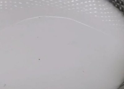 哪些水不能浇灌观叶植物 室内观赏植物浇水应遵循什么原则