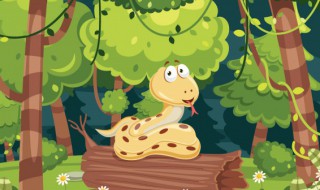 招财蛇的摆放禁忌 招财蛇怎么摆放