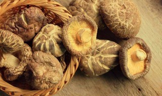 新鲜草菇如何晾干保存最好 新鲜草菇的保存方法