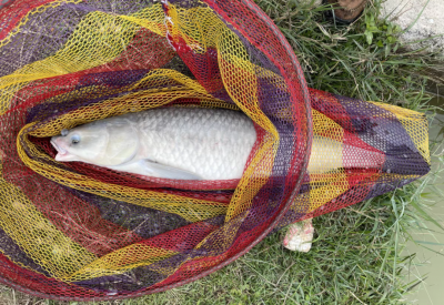 野钓调漂的正确方法和技巧 简单易学的三种调漂方法