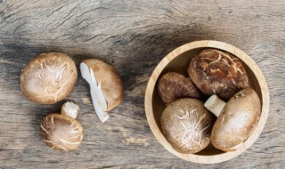 香菇要焯水吗 新鲜香菇需要焯水吗