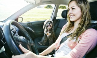 验车需要什么手续 验车需要的手续