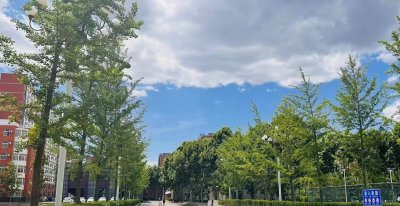 技校一年学费多少钱 上技校的学费一般一学期是多少钱