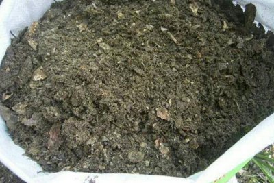 透气透水的养花土怎么配制 种花怎么配土才能透水又保湿