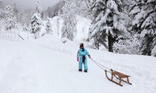滑雪新手如何选择装备 滑雪新手怎么选择装备
