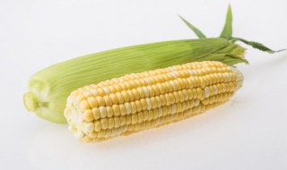 怎样识别玉米是新鲜 如何识别玉米是新鲜