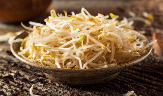 豆芽怎么养才长得好 豆芽如何养才长得好