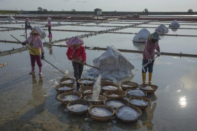制盐的简单人工方法 粗盐怎么提炼成精盐食用盐