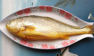 怎么挑新鲜的黄花鱼 如何挑新鲜的黄花鱼呢