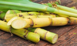 河南甘蔗施肥时间及方法 使用正确的甘蔗施肥时间和方法可以提高收成