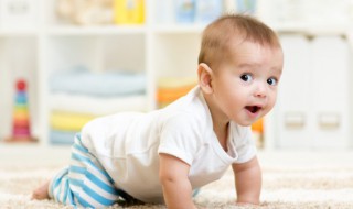 婴儿坐飞机怎么买票 婴儿坐飞机如何买票