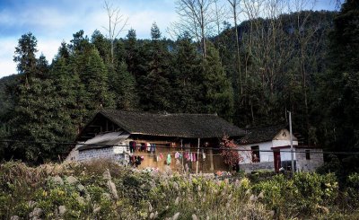 有前景的养殖好项目 在农村养殖这3种项目不愁销路