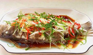 清蒸鲈鱼的家常做法窍门 清蒸鲈鱼怎么做