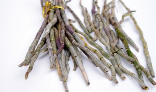 新鲜的石斛怎么保存方法 新鲜石斛的保存方法