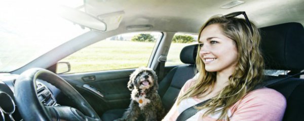 冬季汽车电池保持方法有