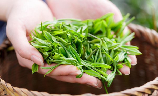 香茗与茶有什么区别图片