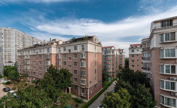 买房为啥买十不买九