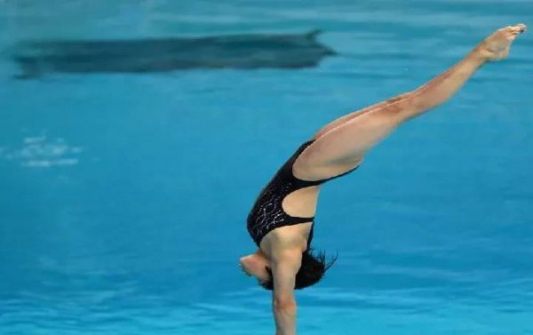 体裁有哪几种分别介绍