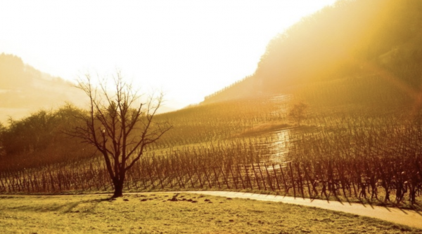 格局大必成大器的星座女