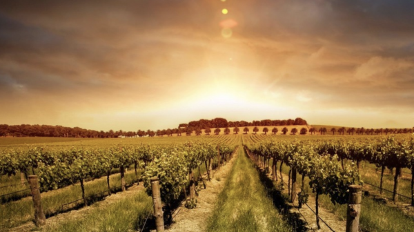 格局大必成大器的星座女