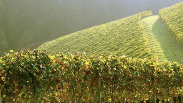 格局大必成大器的星座女