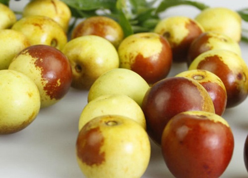 狗狗可以吃冬枣吗