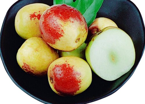 狗狗可以吃冬枣吗