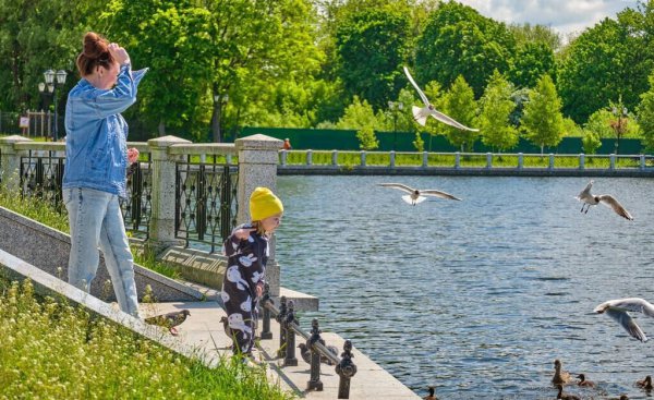 鸭子的寿命最长多少年