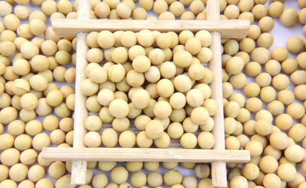 黄豆什么时候种最好