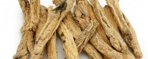 党参作用与功效有哪些