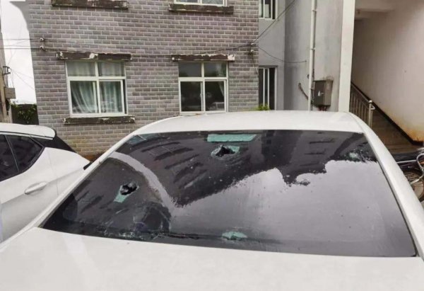 车损险就是个坑