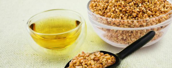 荞麦茶是热性的还是寒性的