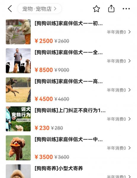 训犬基地一个月收费多少