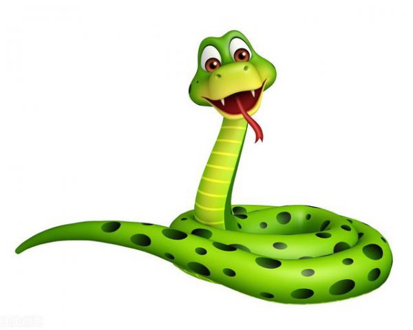 哪个生肖的孩子比较聪明有本事