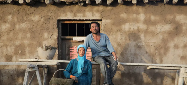 2023有哪些好看的电影