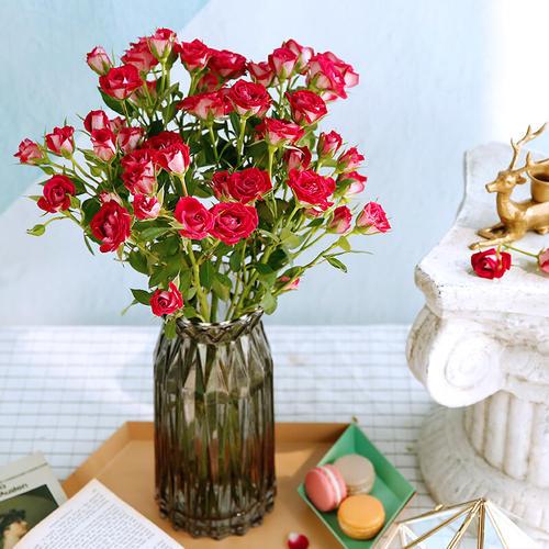 玫瑰花保存长久的方法