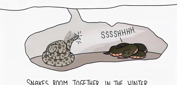 蛇为什么会蜕皮