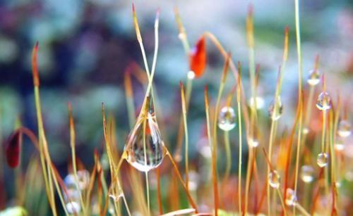 水星星座代表什么含义