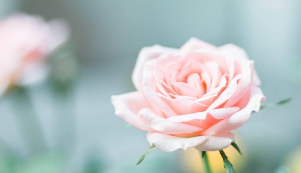 水星星座代表什么含义