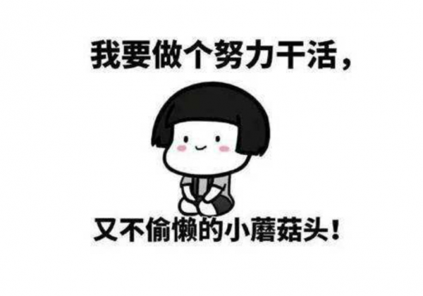 本专科生是什么意思