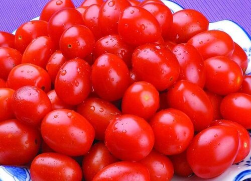 圣女果哪个品种最好吃  口感好的圣女果有几个品种