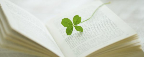 感恩节祝福语简短情话