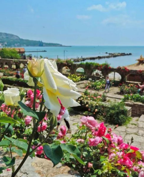 bulgaria是什么国家