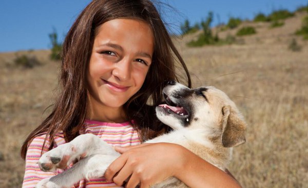 bulgaria是什么国家