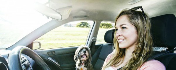 侧方位如何停车