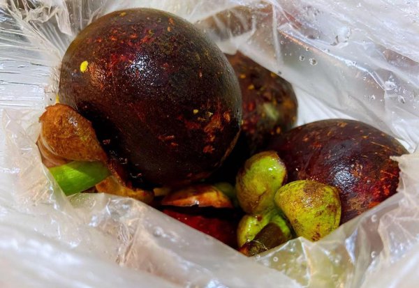 山竹2a3a4a5a区别